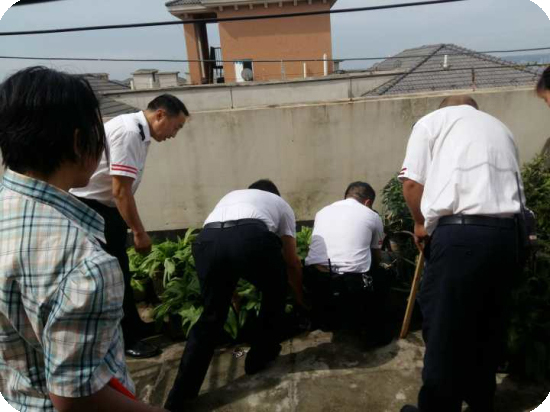 1576561427182918.jpg 1 (13).jpg