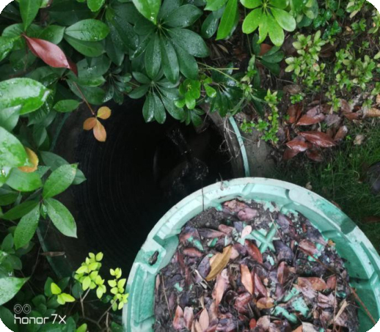 1576561453161197.jpg 1 (17).jpg