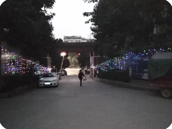 1576644584148671.jpg 1 (1).jpg