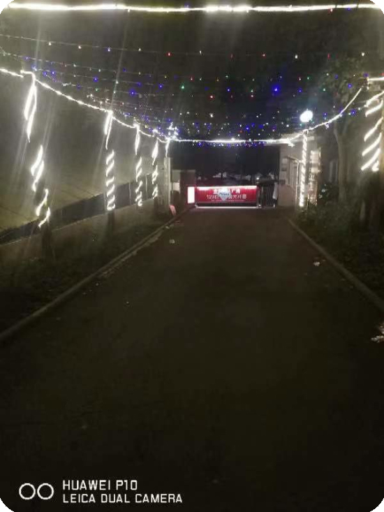 1576644620735666.jpg 1 (5).jpg