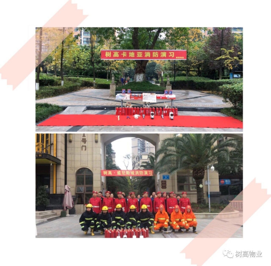 1577203097435571.jpg 1 (2).jpg