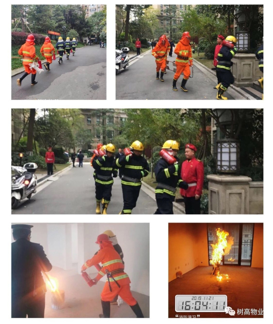 1577203113196749.jpg 1 (3).jpg