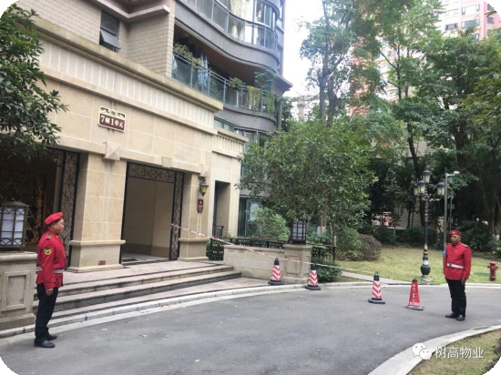 1577203224111788.jpg 1 (10).jpg