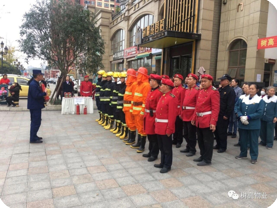 1577203262138179.jpg 1 (13).jpg