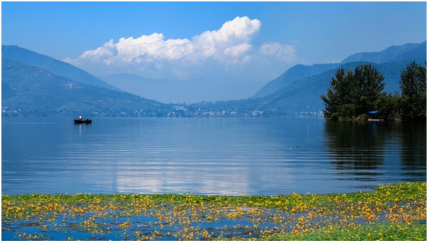 1577348793117325.png image.png