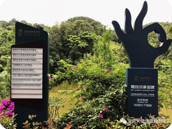 1577428972275491.jpg 1 (14).jpg