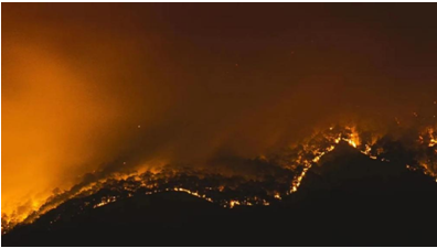 1589168231135505.png 微信截图_20200511113443.png