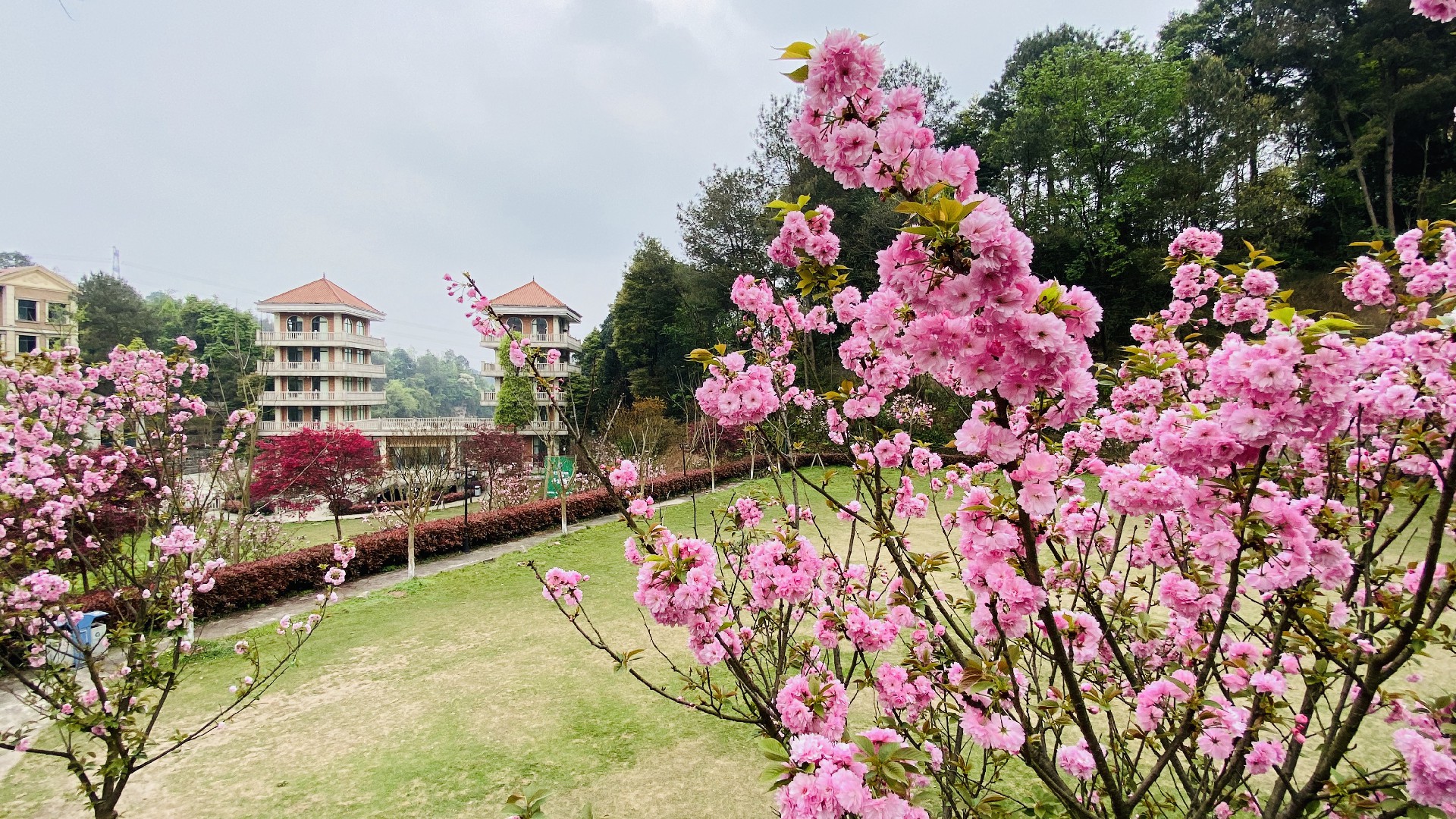 1616483165417016.jpg 1616483165417016.jpg