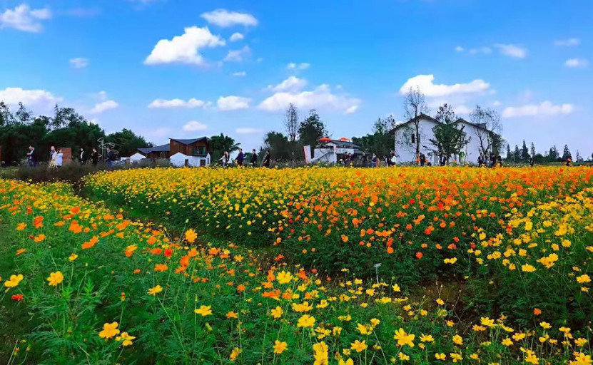 1619165968123090.png 1619165968123090.png