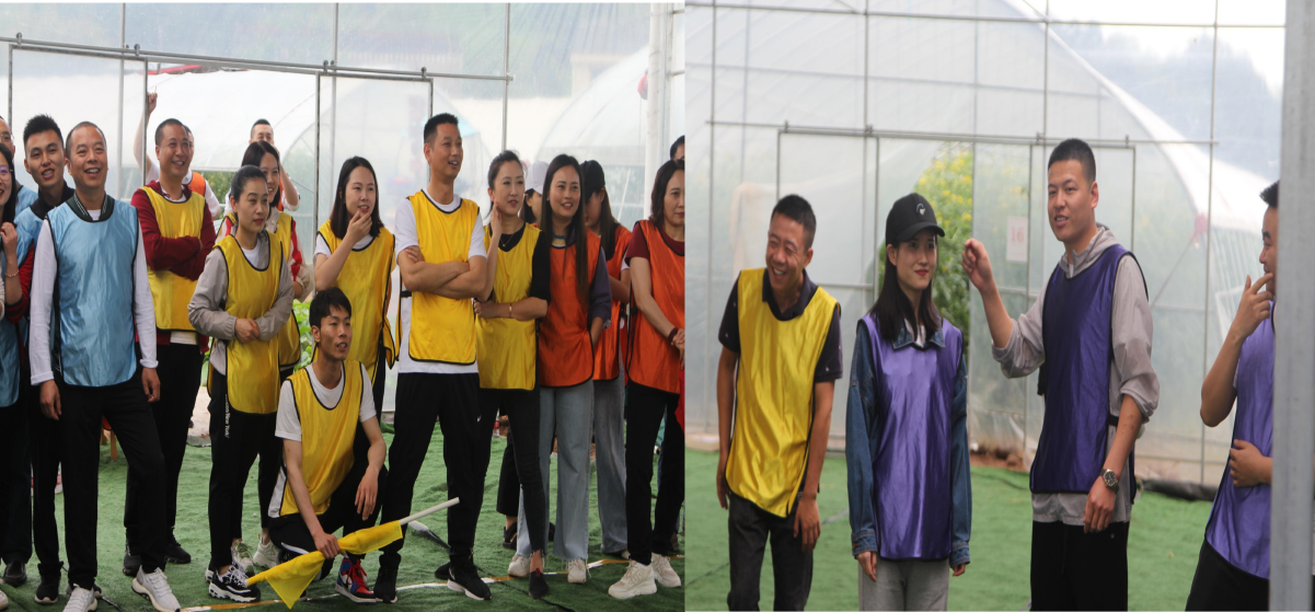 1621577277123128.png 1621577277123128.png