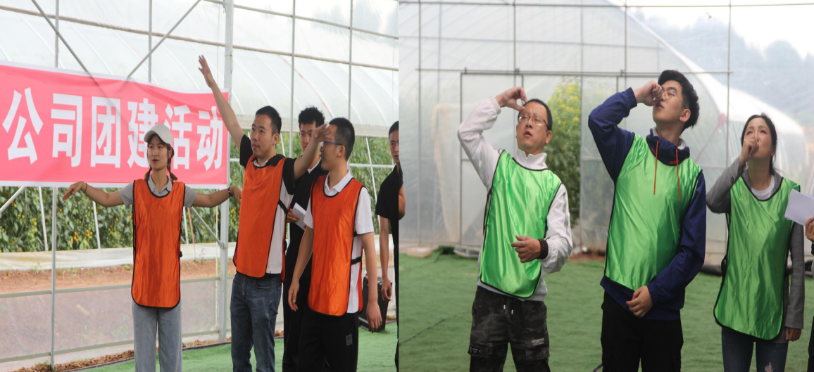 1621577277189126.png 1621577277189126.png