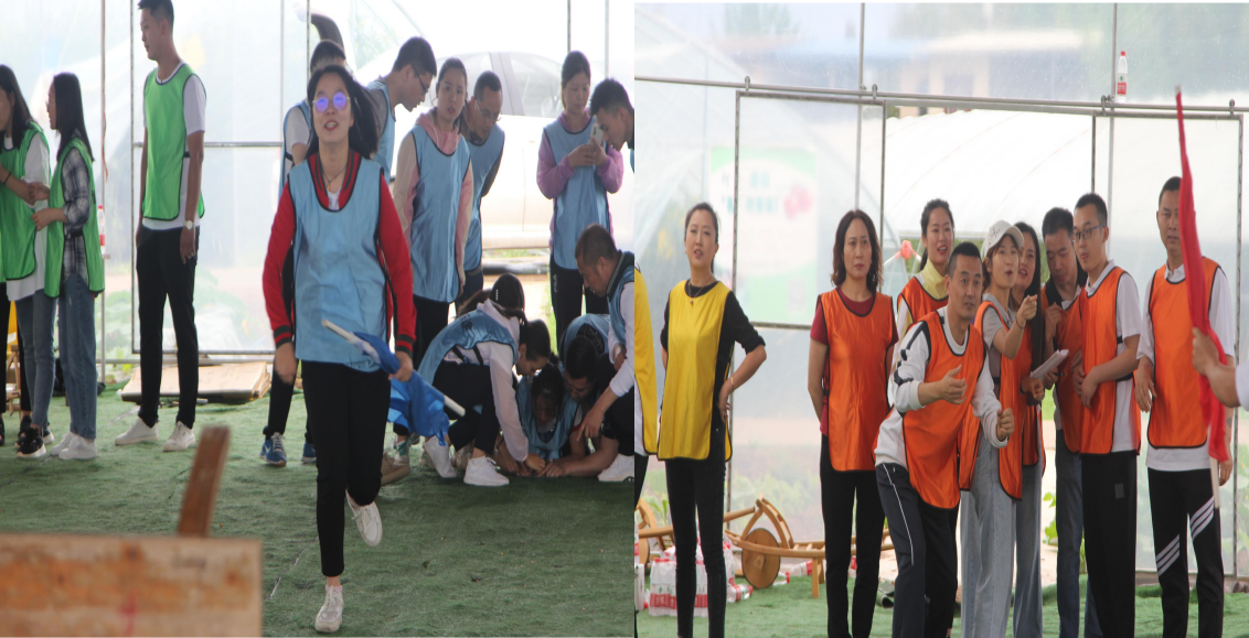 1621577392817912.png 1621577392817912.png