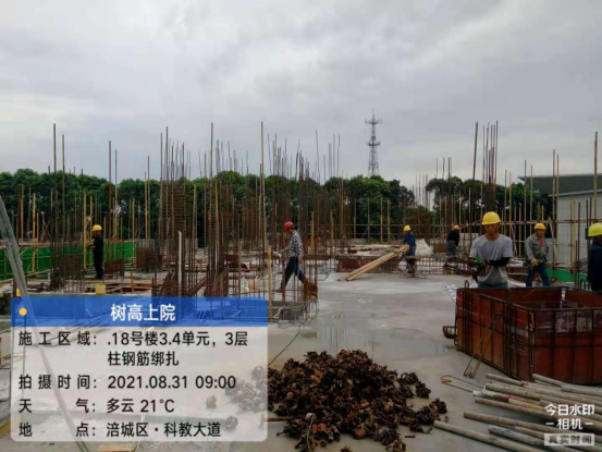 1631671211169806.png 1631671211169806.png