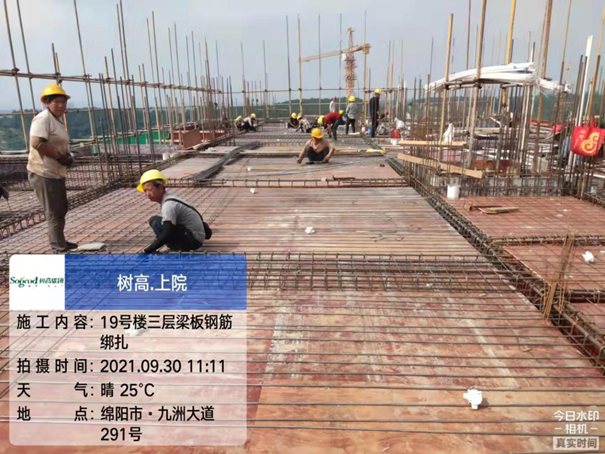 1634106854167555.png image.png