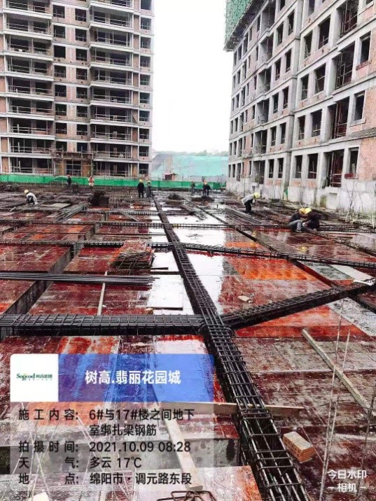 1637644631105959.jpg 1637644631105959.jpg