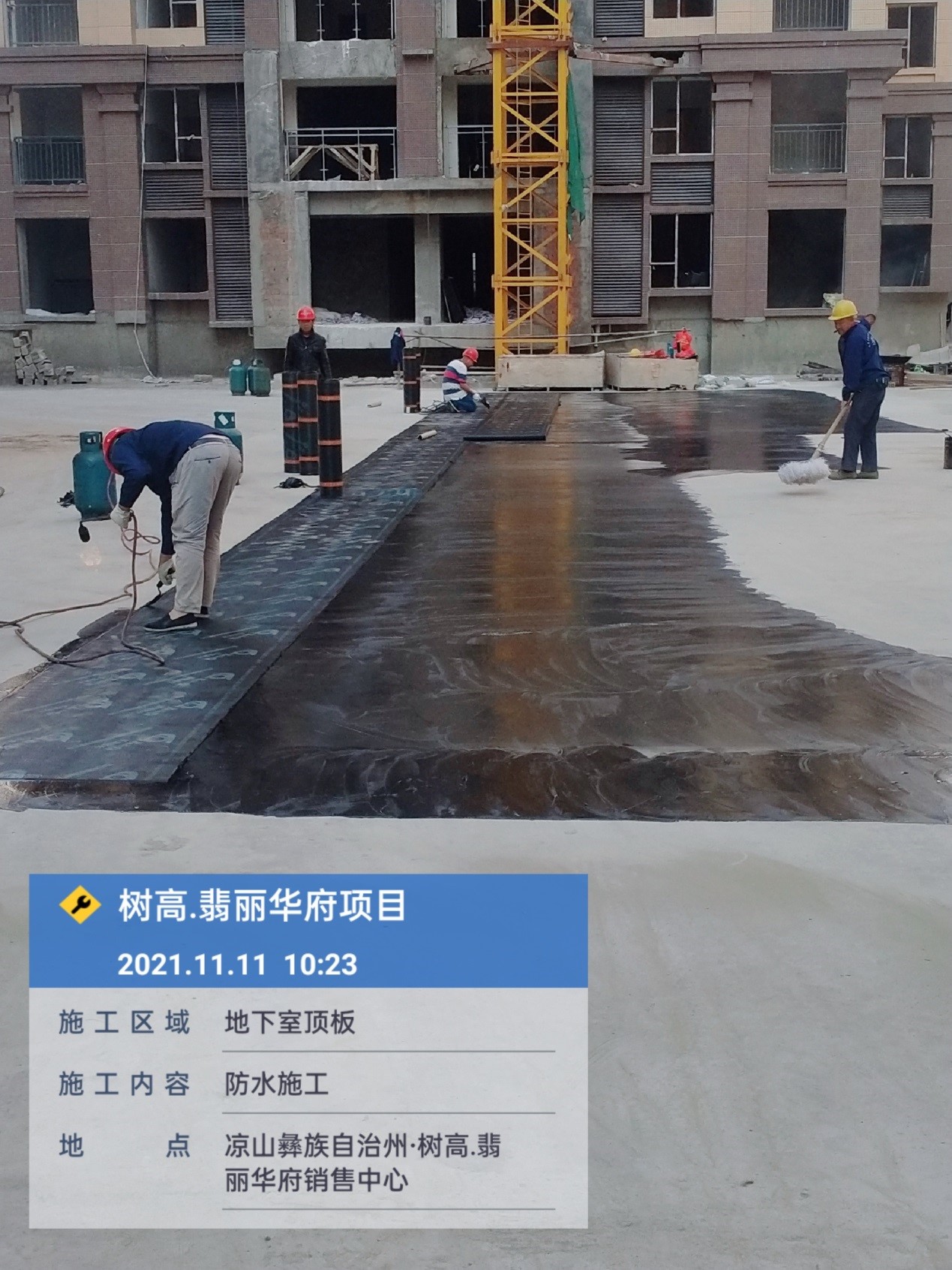 1637645230164540.jpg 1637645230164540.jpg