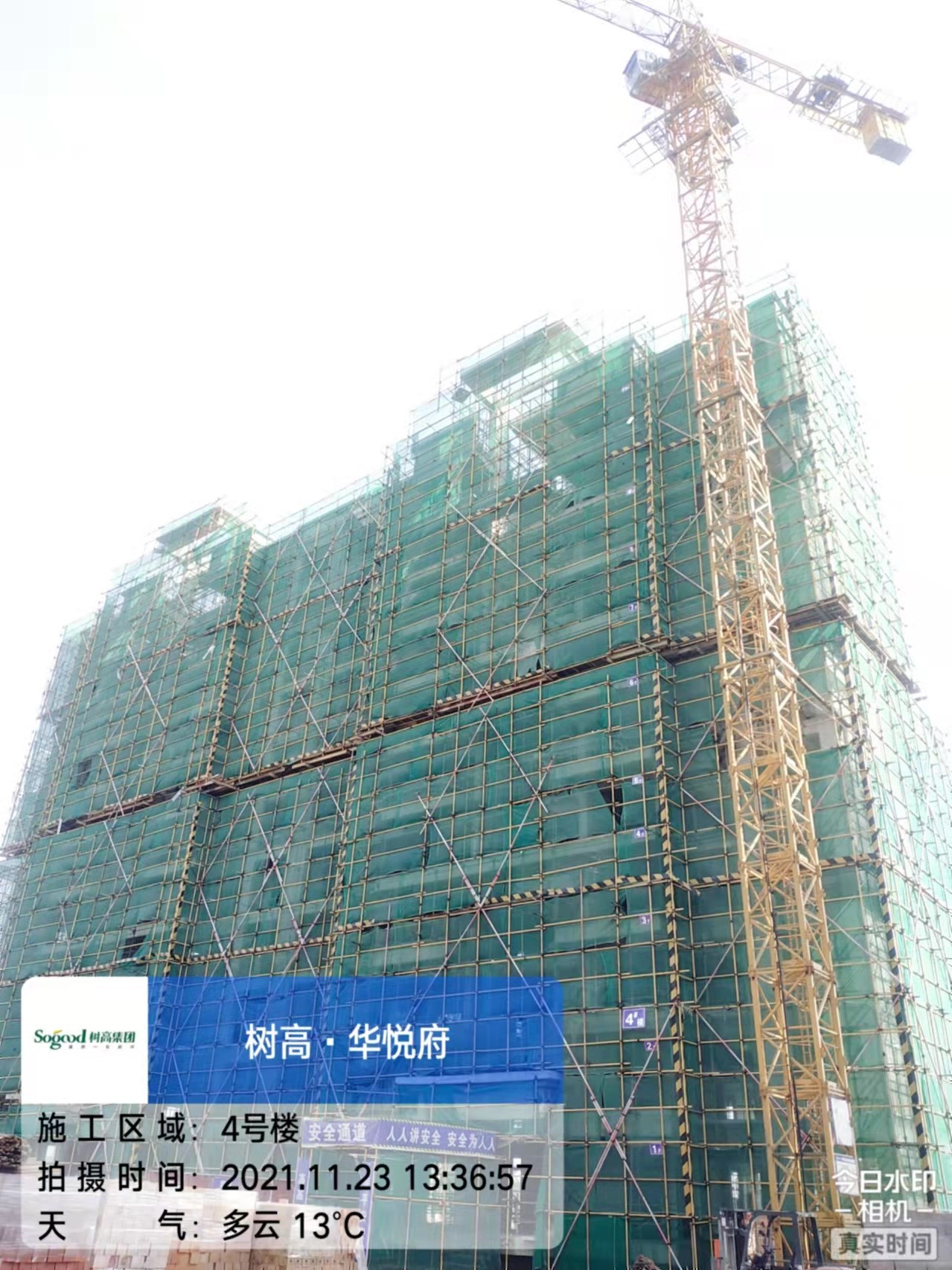 1637657782162047.jpg 1637657782162047.jpg