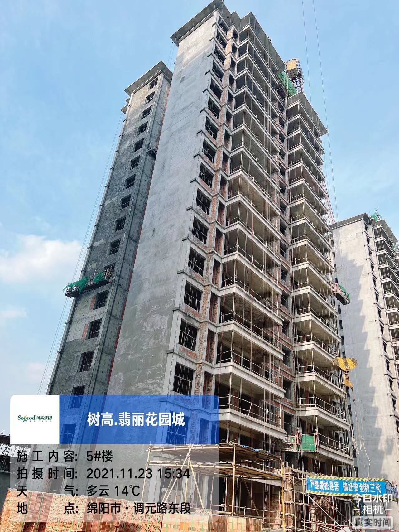 1637715124395812.jpg 1637715124395812.jpg