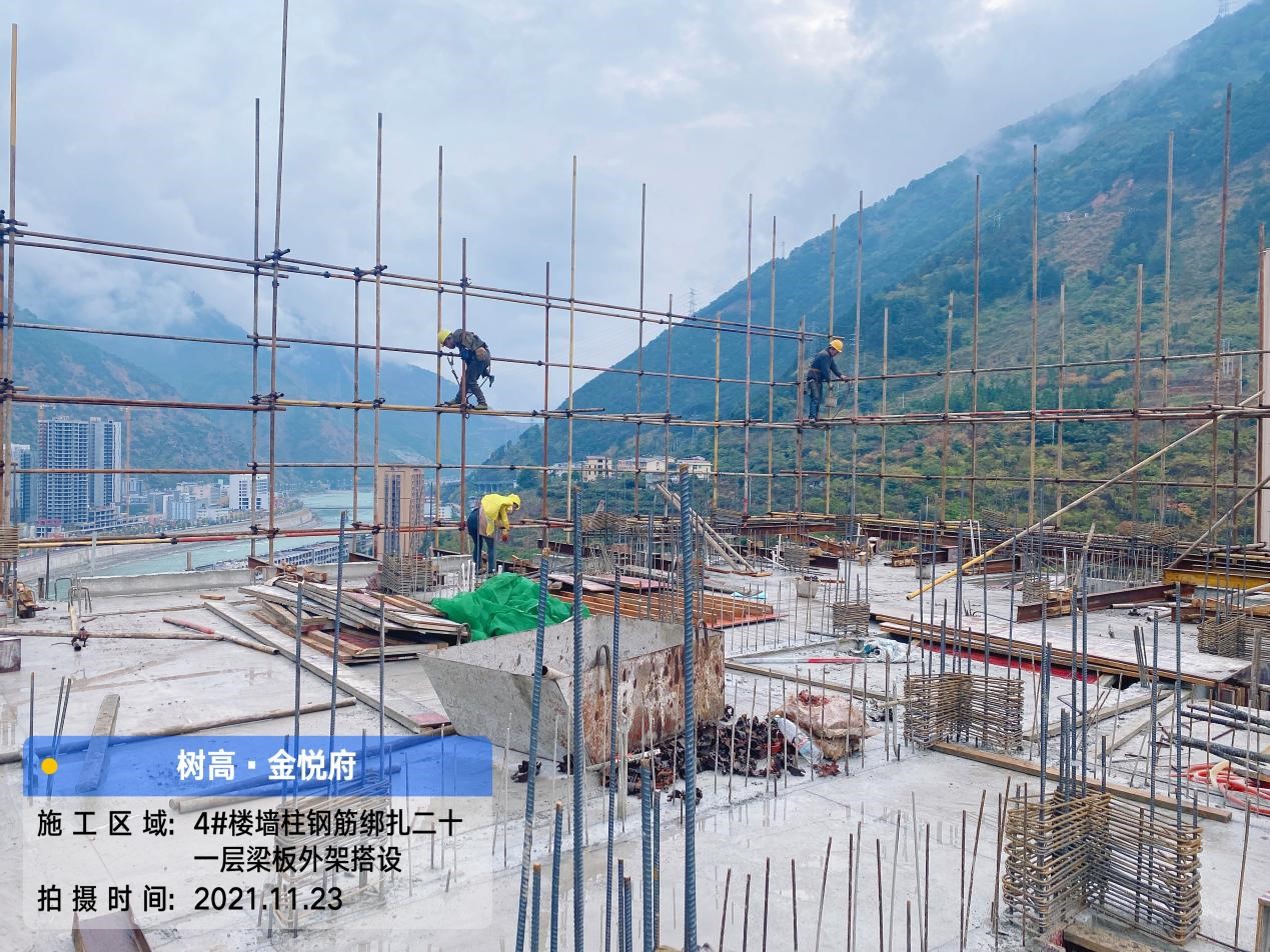 1637720060138568.jpg 1637720060138568.jpg