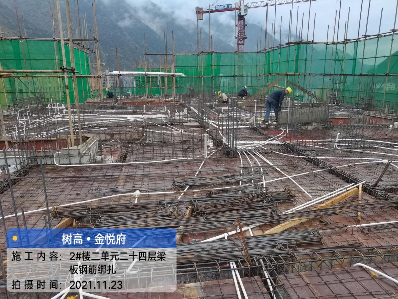 1637720060179135.jpg 1637720060179135.jpg