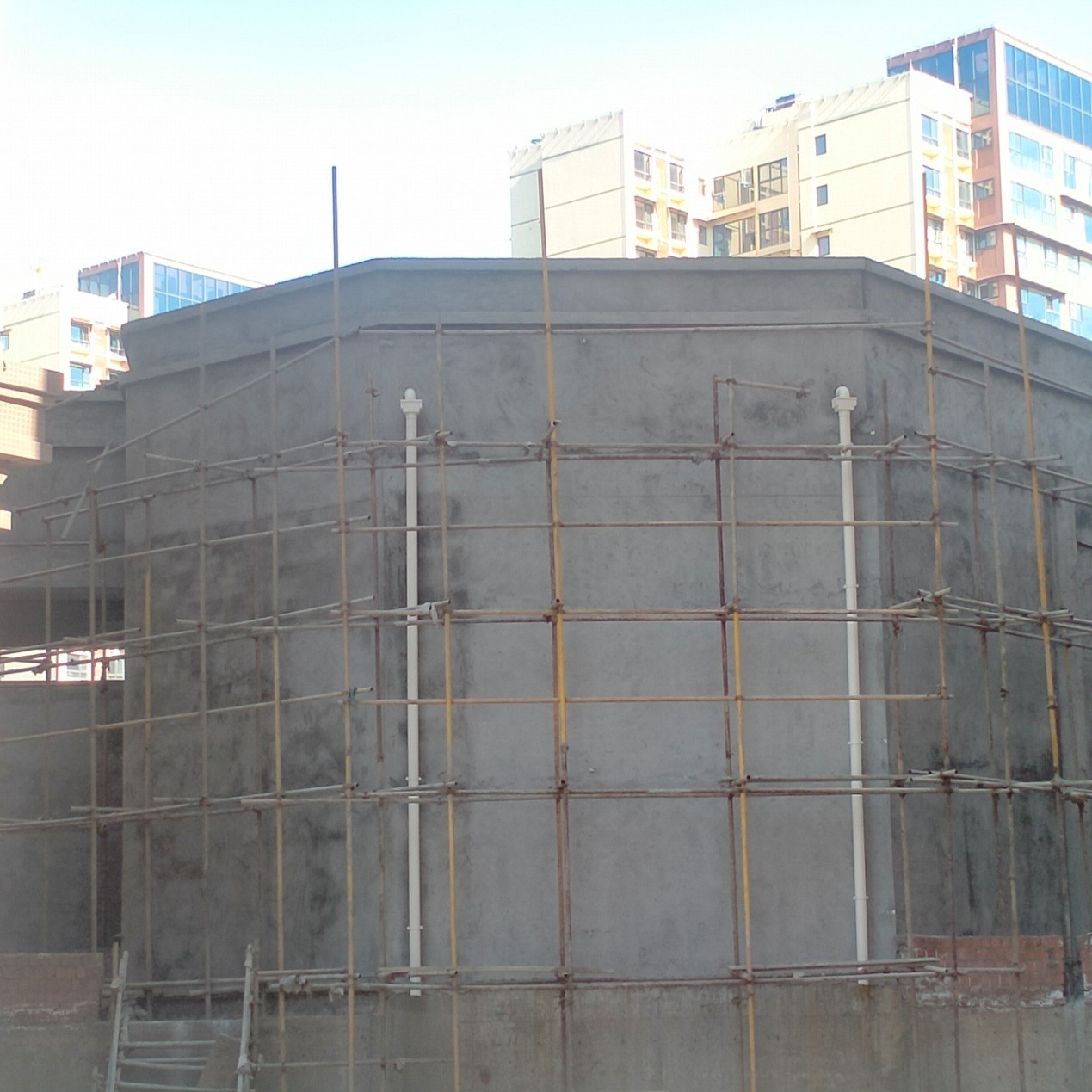 1641359596967399.jpg 1641359596967399.jpg