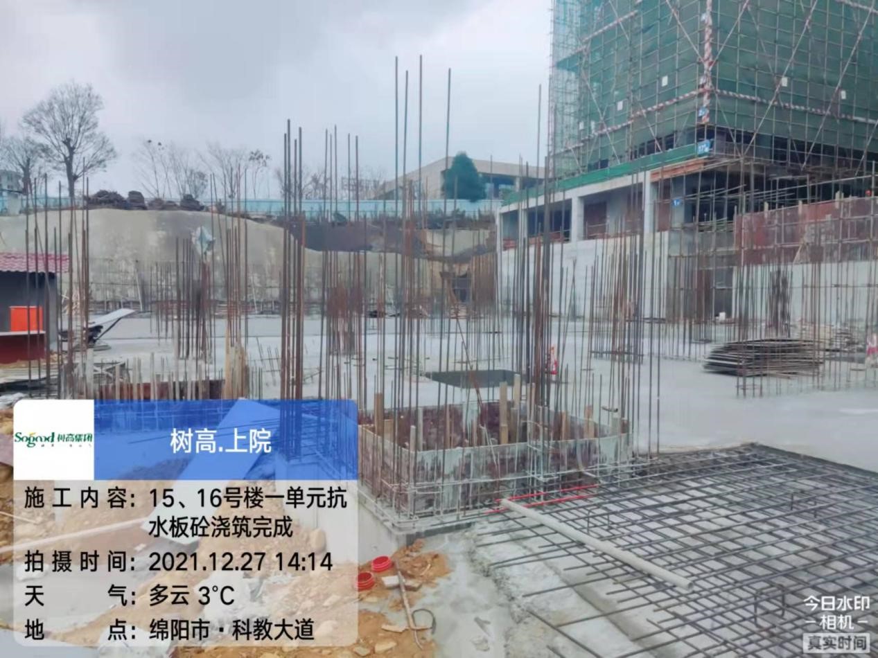 1641362409320304.jpg 1641362409320304.jpg