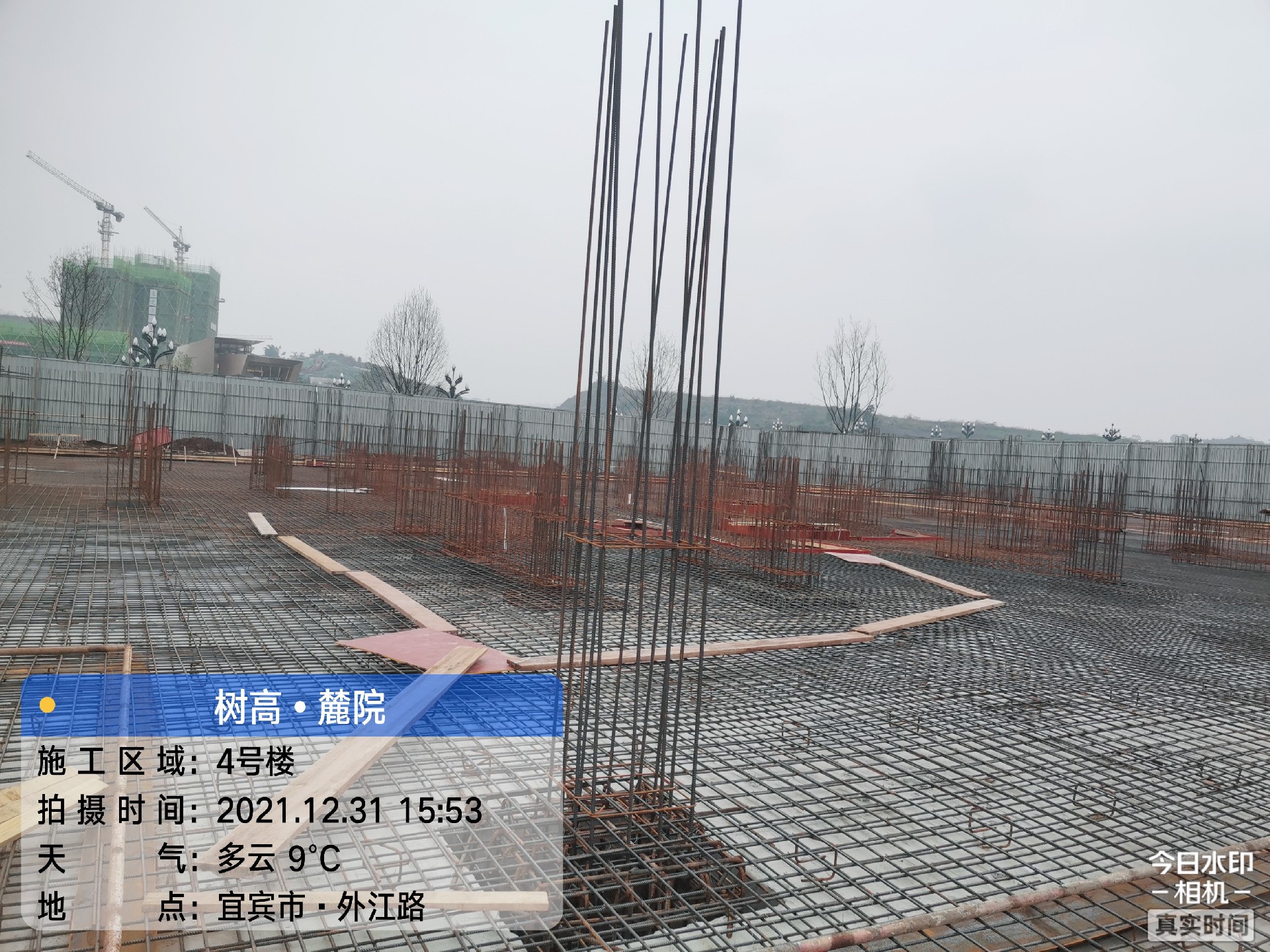 1641362791163686.jpg 1641362791163686.jpg