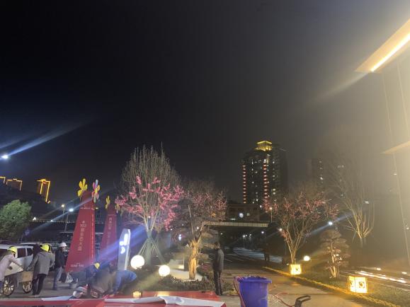 1643336240508620.jpg 1643336240508620.jpg