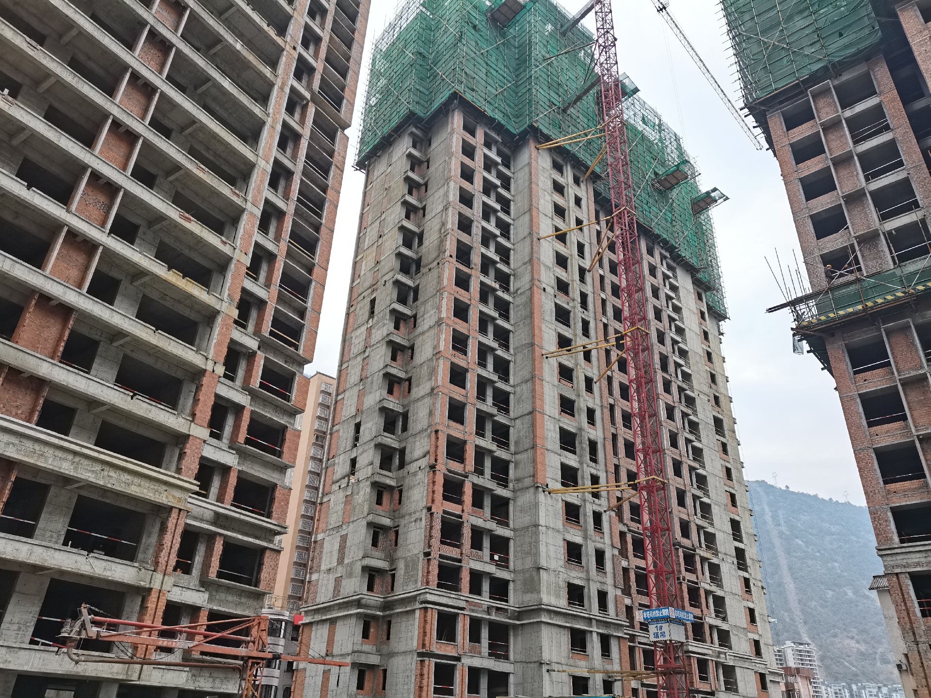 1645768859149026.jpg 1645768859149026.jpg