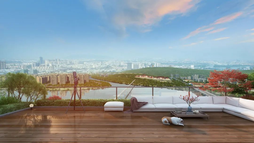 1648086947269525.jpg 7.jpg