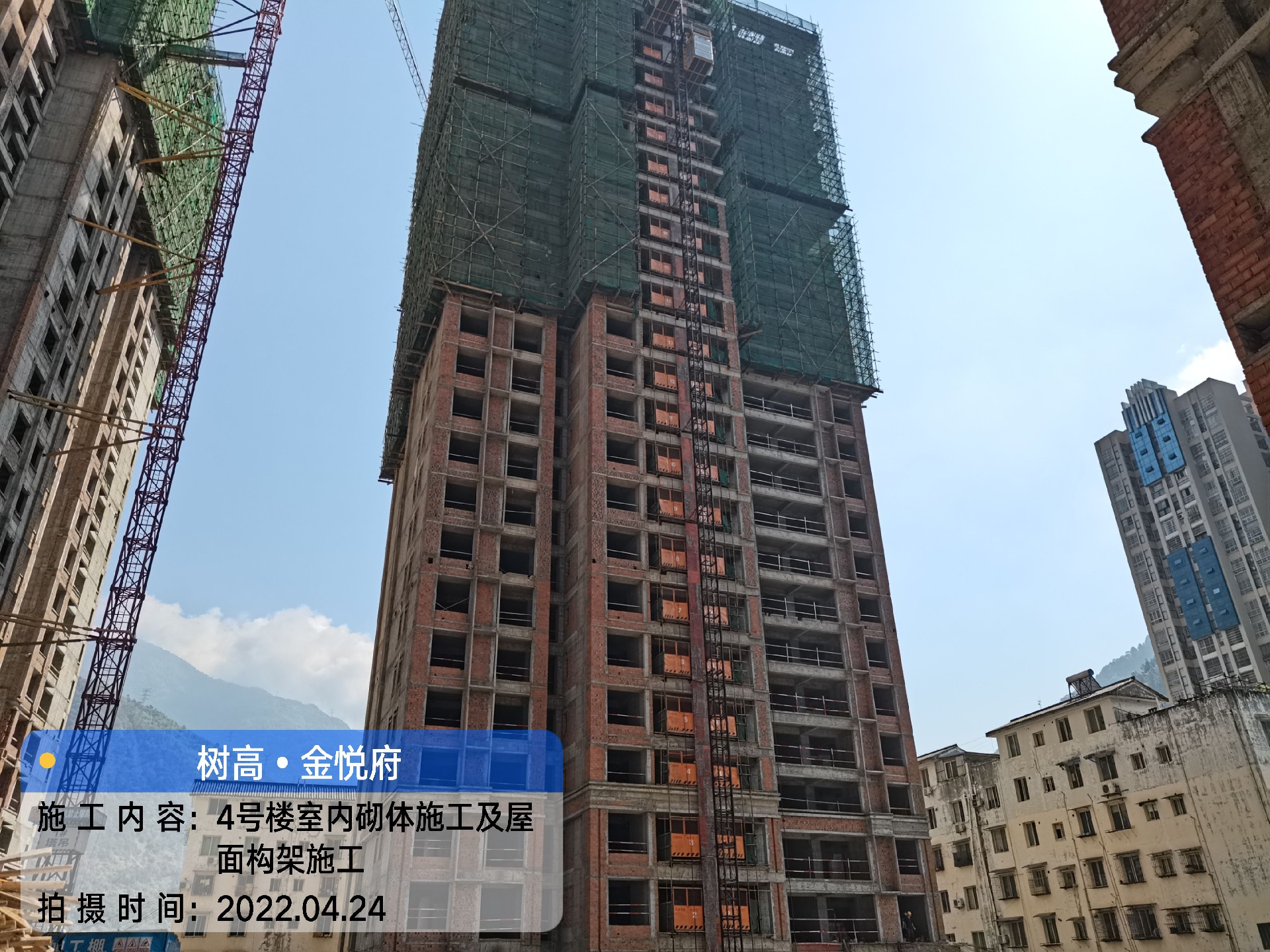 1650950483562183.jpg 1650950483562183.jpg