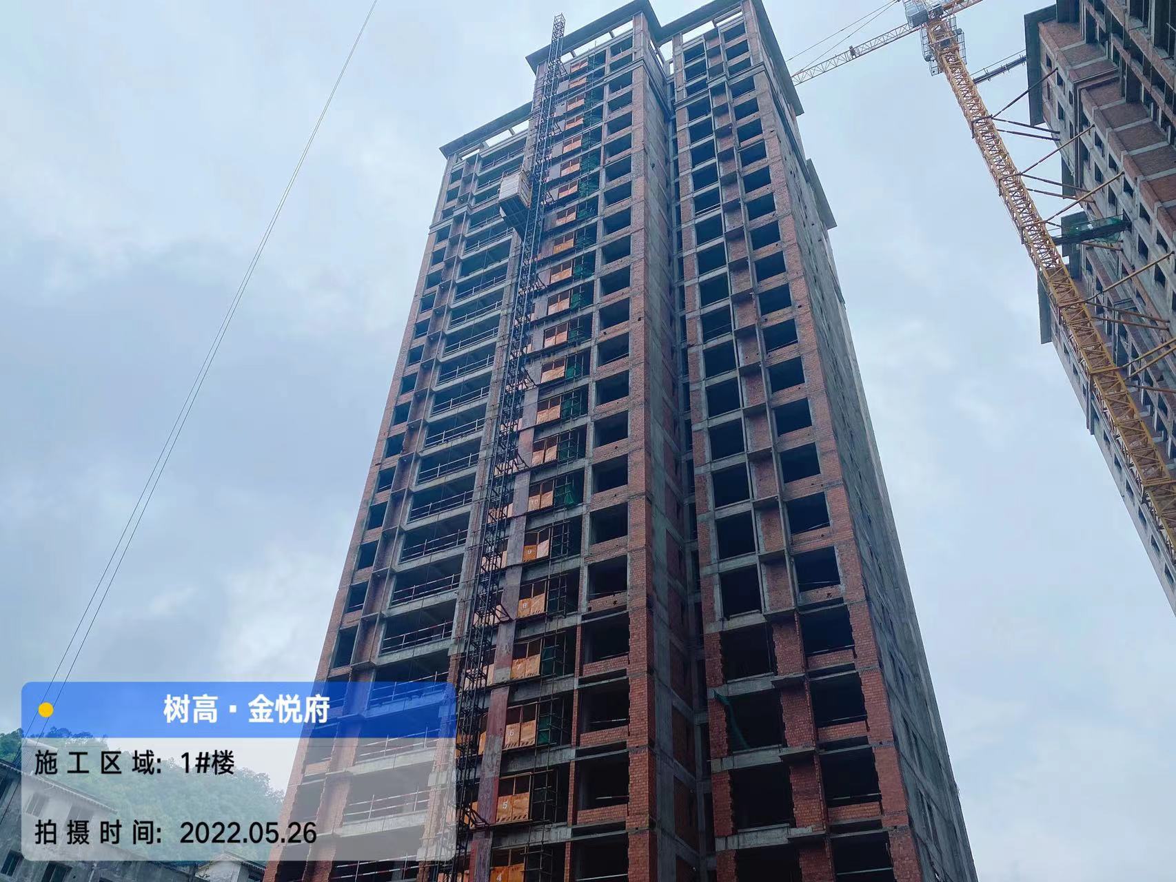 1653629226303275.jpg 1653629226303275.jpg