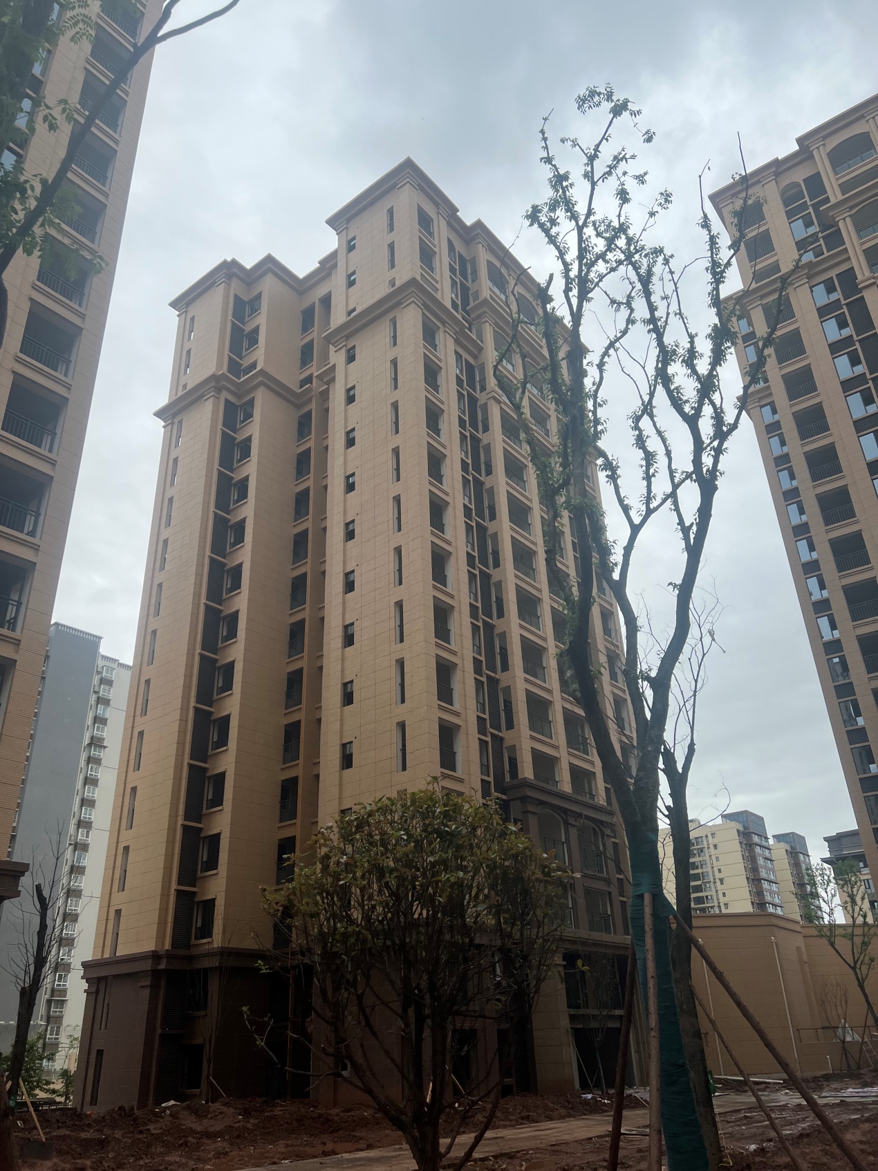 1653630675136922.jpg 1653630675136922.jpg