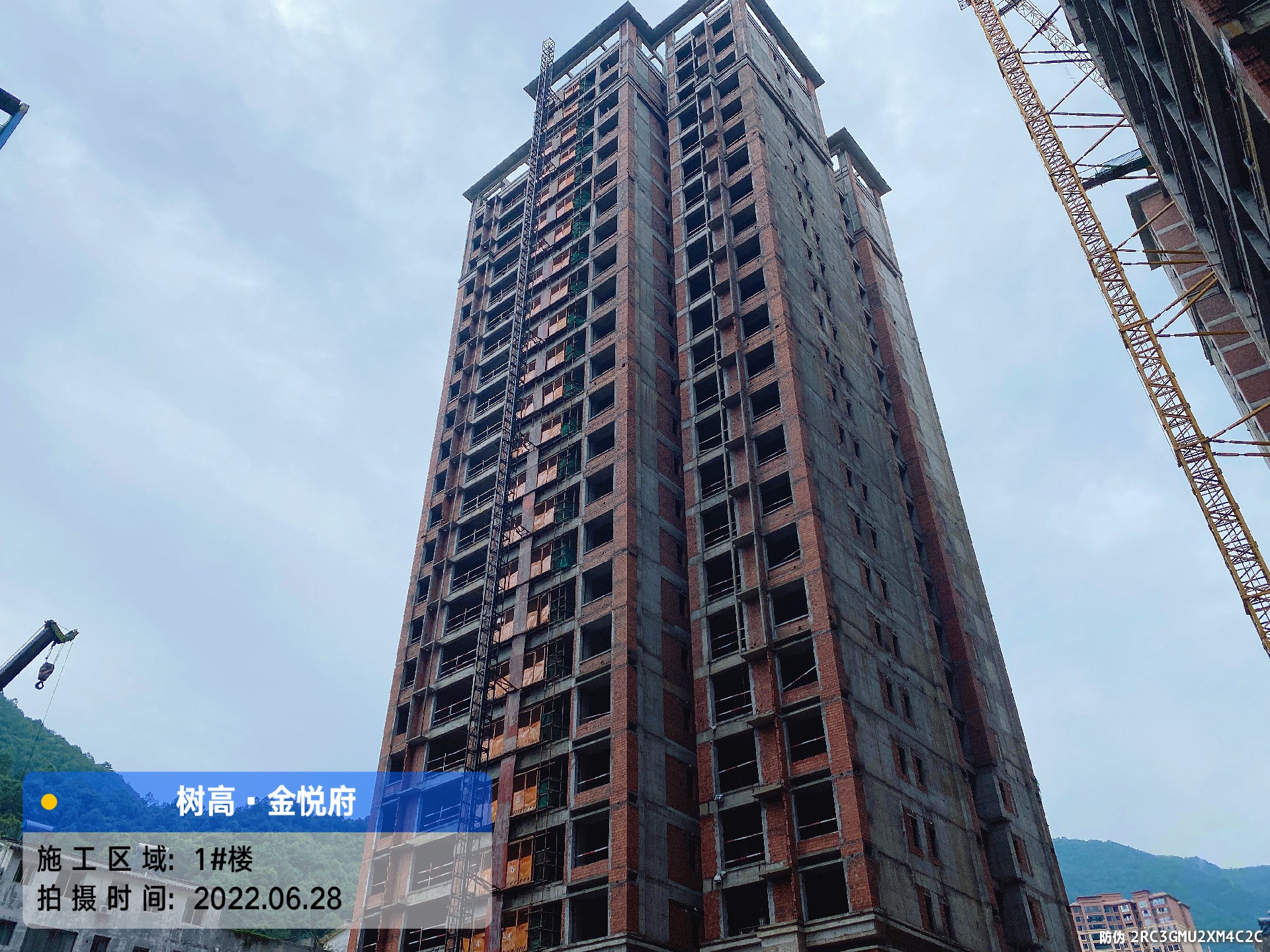 1656481295705599.jpg 1656481295705599.jpg