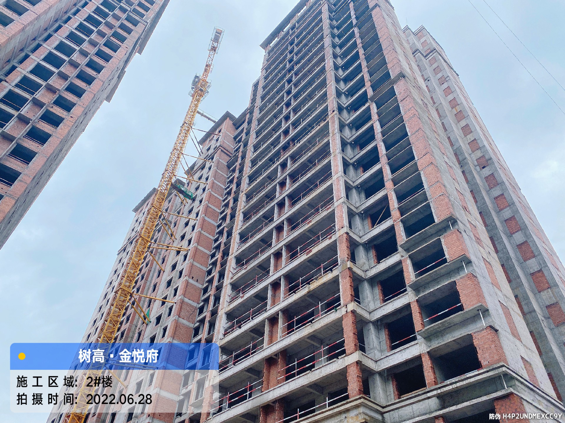 1656481296156581.jpg 1656481296156581.jpg