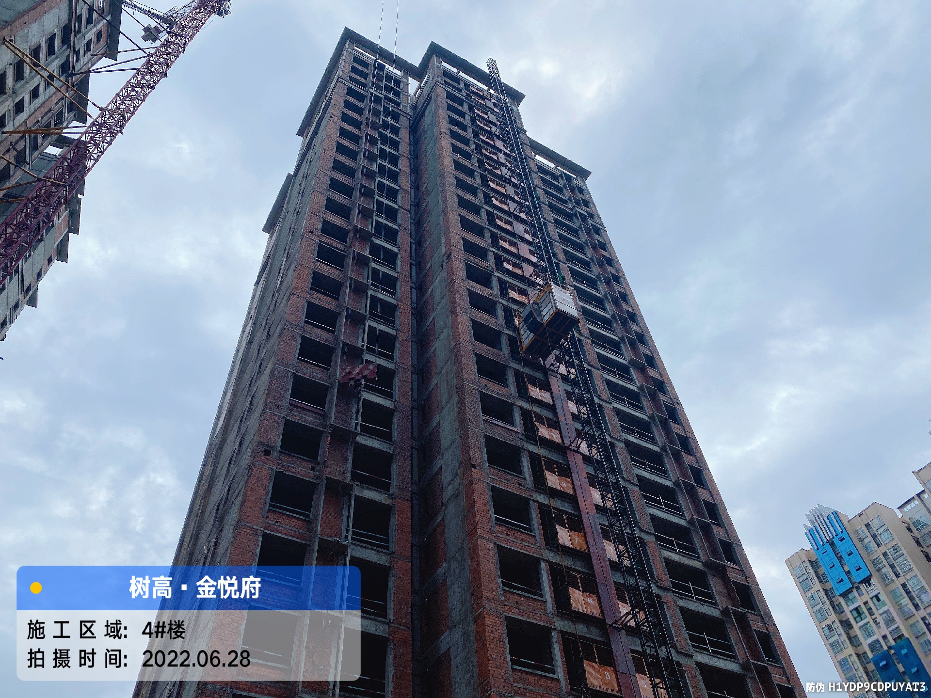 1656481297137038.jpg 1656481297137038.jpg