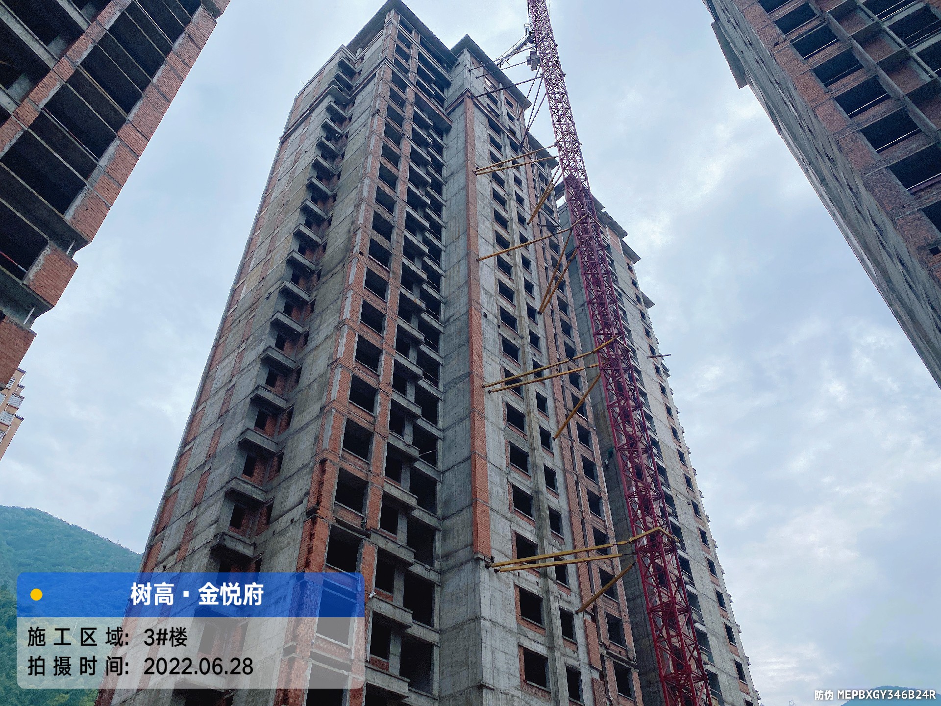 1656481297240385.jpg 1656481297240385.jpg