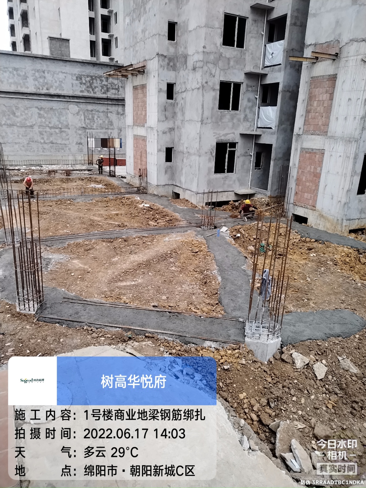 1656481810132464.jpg 1656481810132464.jpg