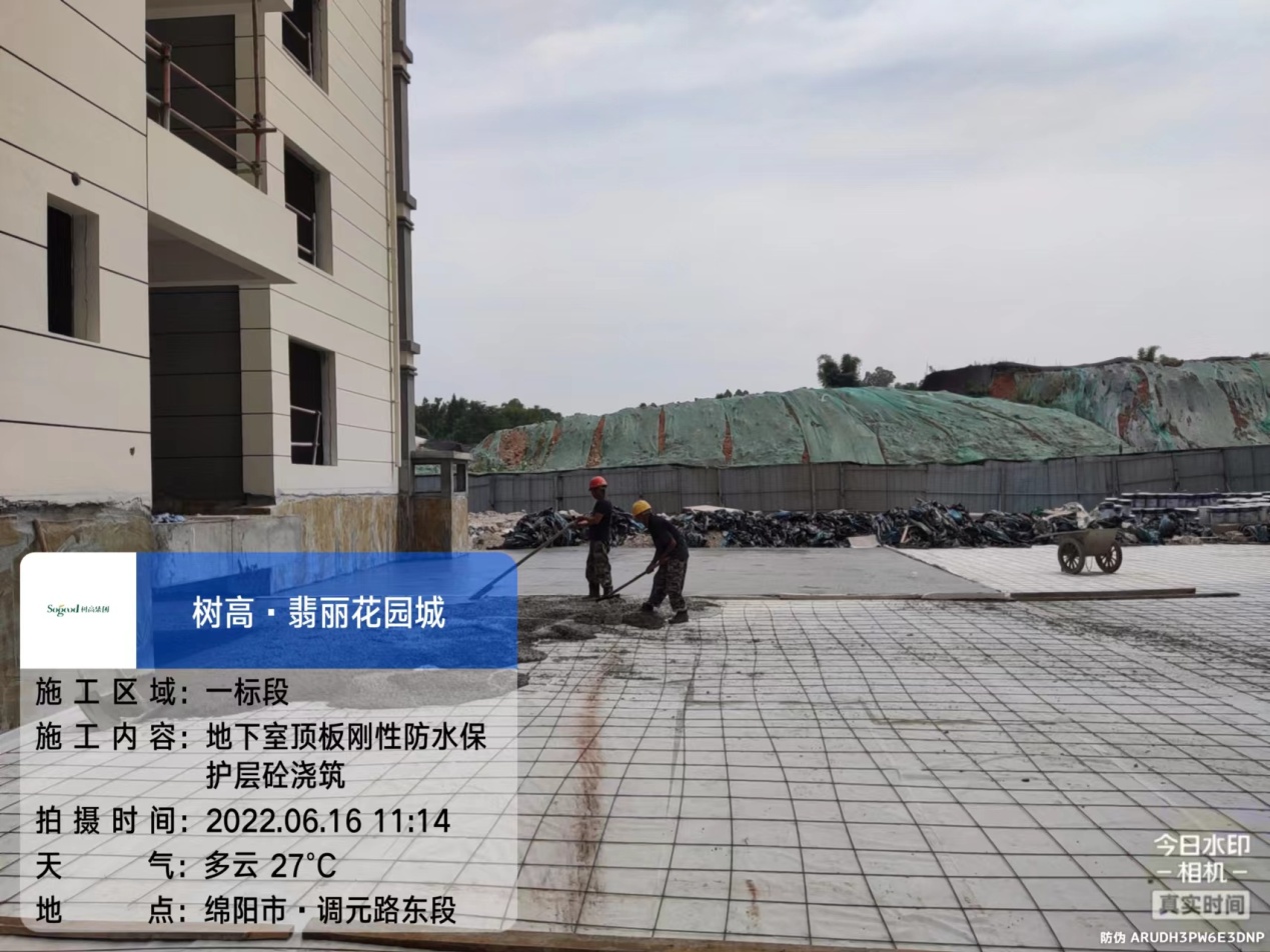 1656570387115477.jpg 1656570387115477.jpg