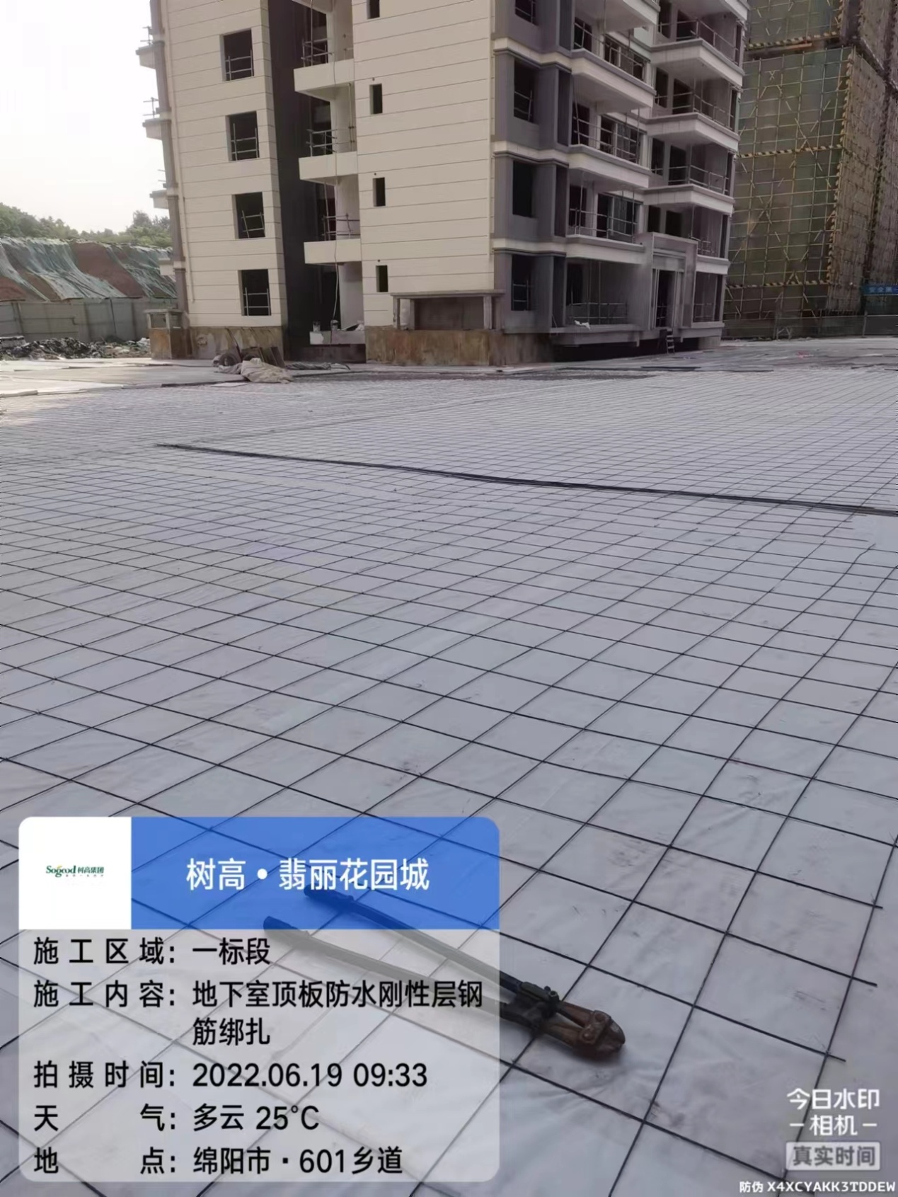 1656570387186967.jpg 1656570387186967.jpg