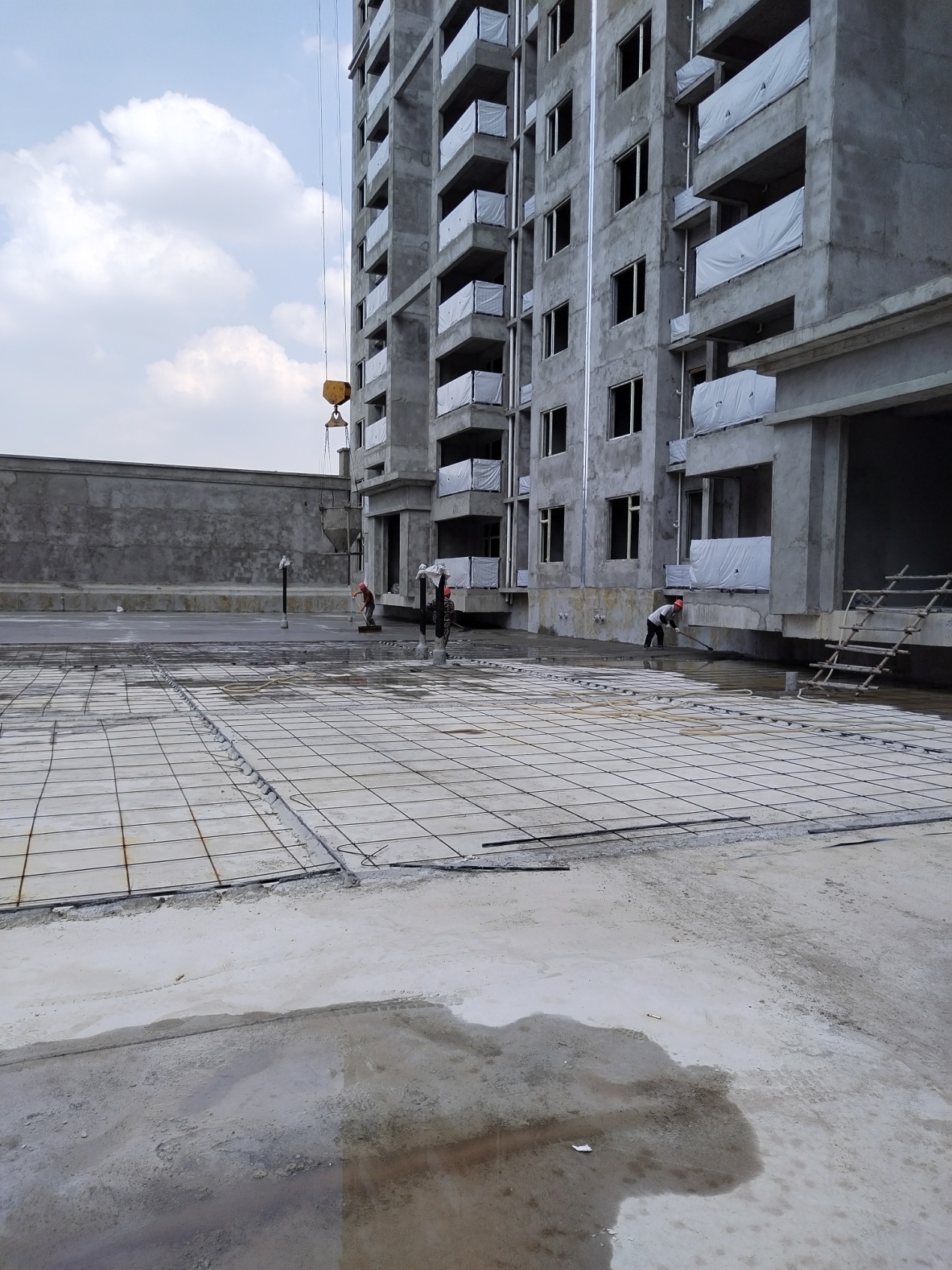 1659058104186611.jpg 1659058104186611.jpg