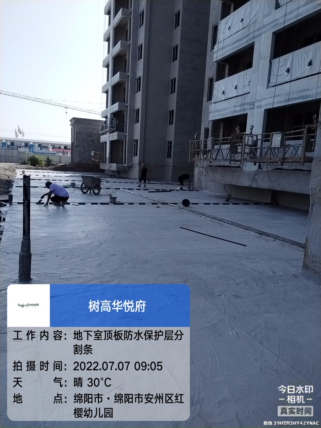 1659058104550114.jpg 1659058104550114.jpg