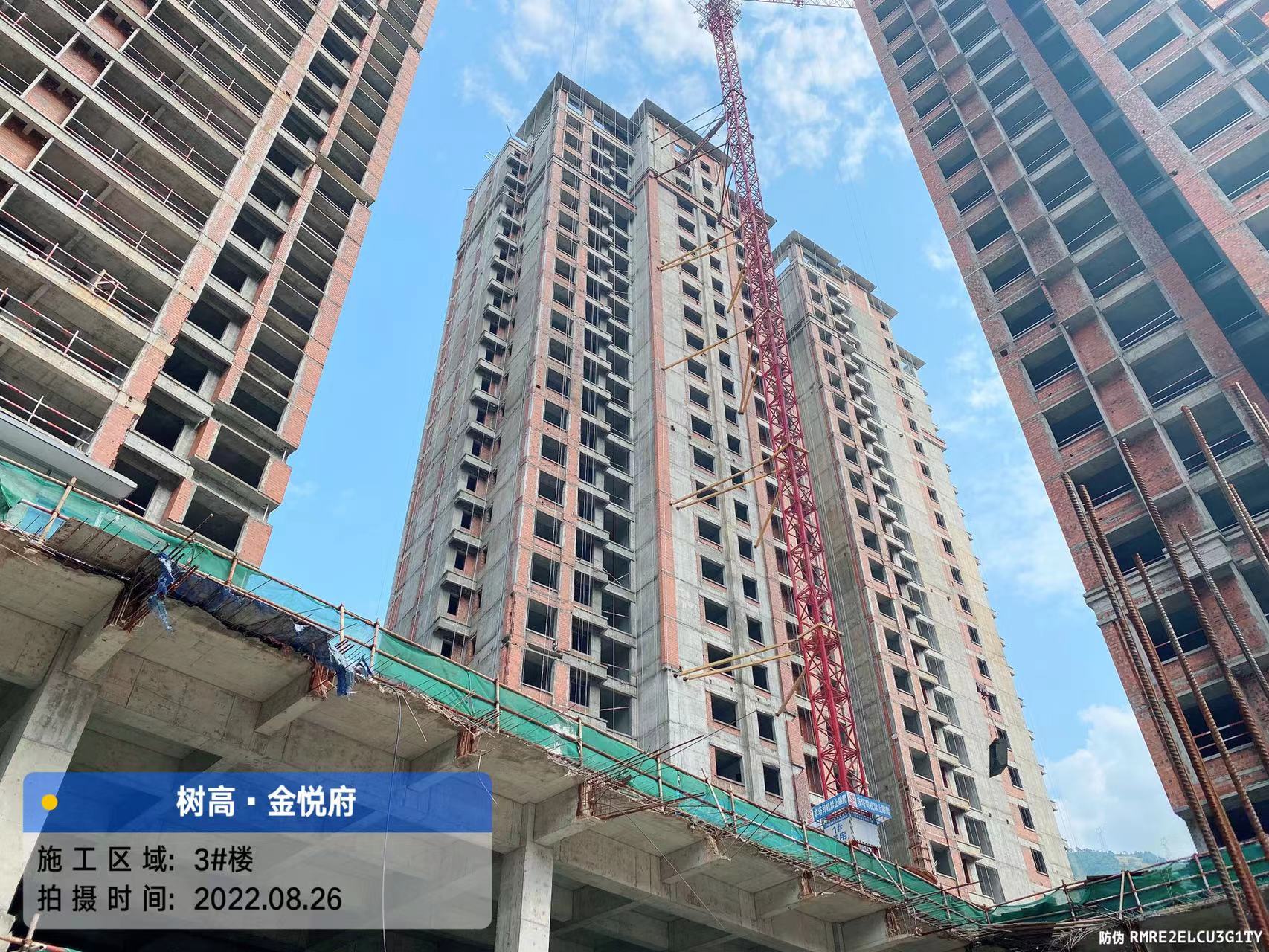 1661929273701927.jpg 1661929273701927.jpg