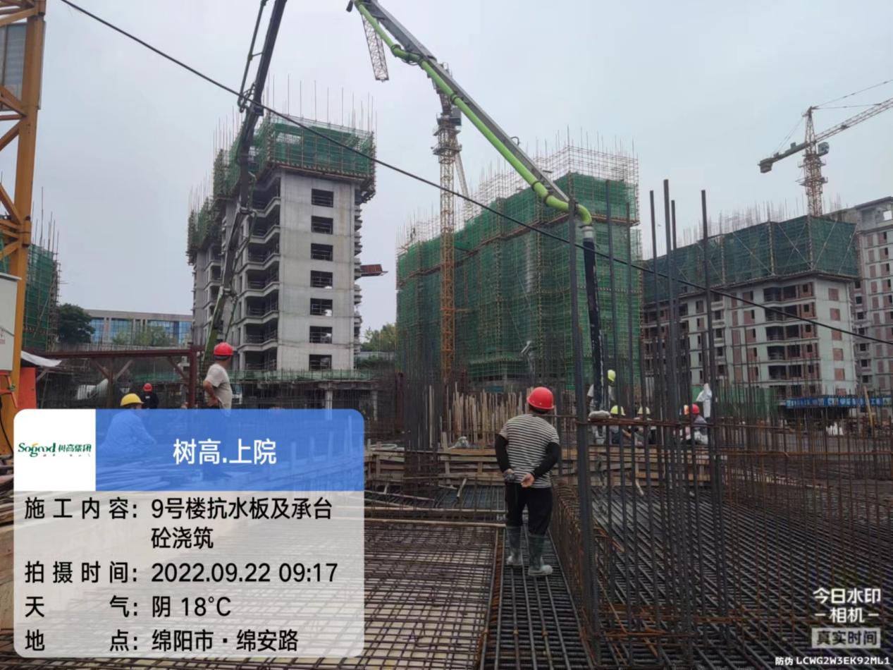 1664415921236637.jpg 1664415921236637.jpg