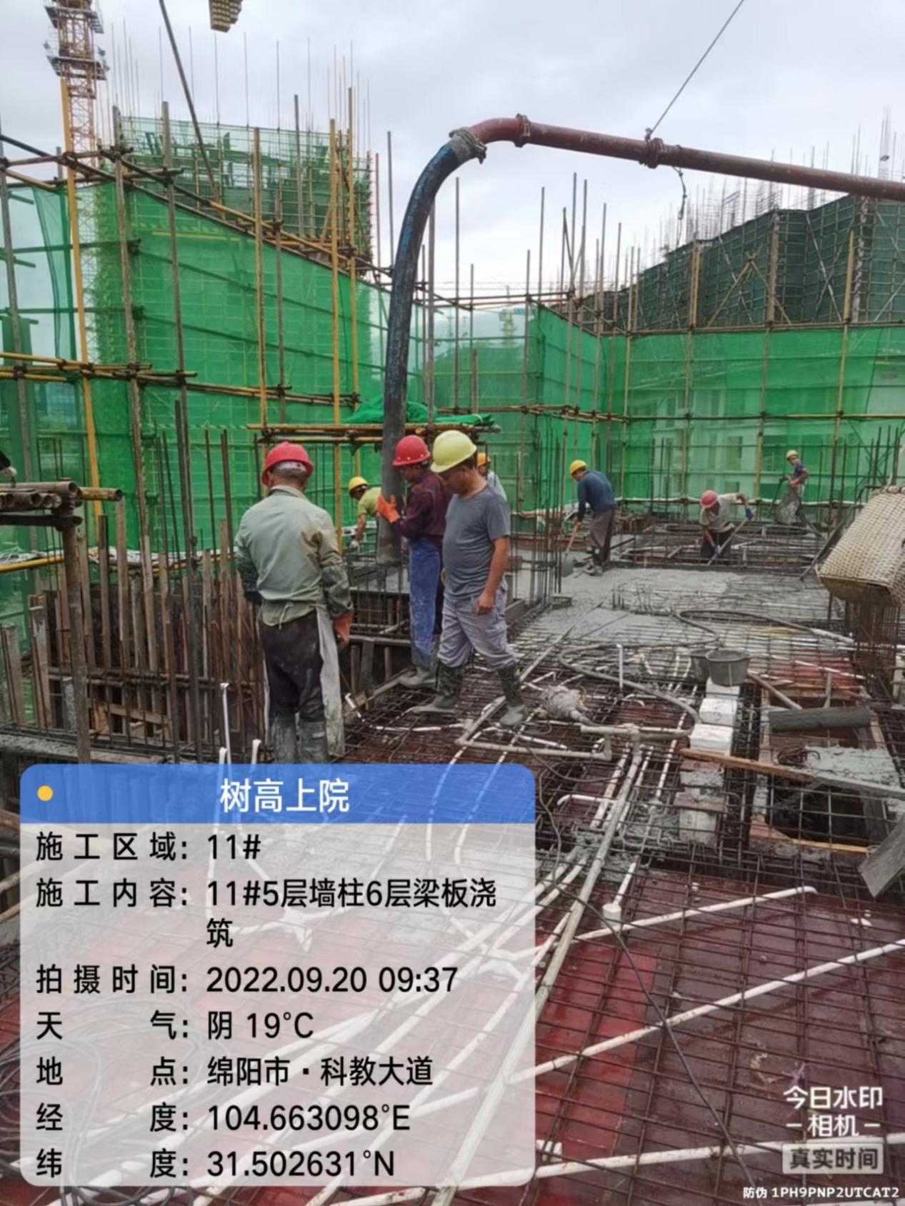 1664415922761480.jpg 1664415922761480.jpg