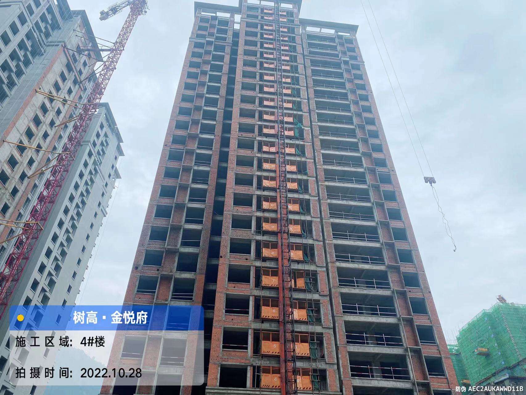 1666943658124797.jpg 1666943658124797.jpg