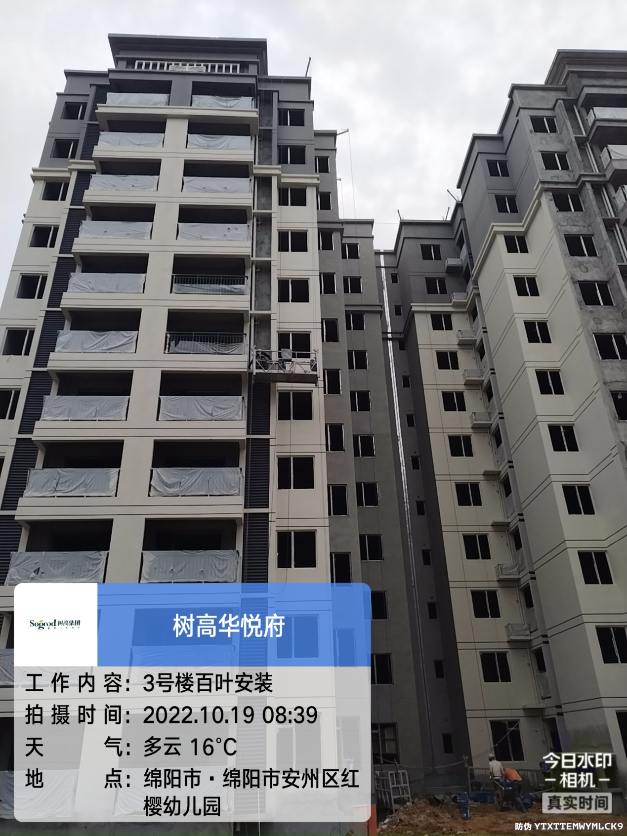 1666944091184567.jpg 1666944091184567.jpg