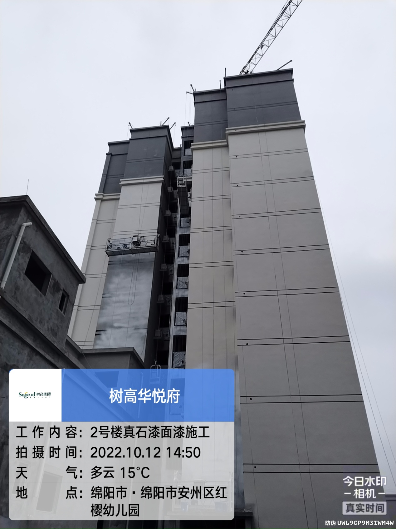 1666944091202637.jpg 1666944091202637.jpg