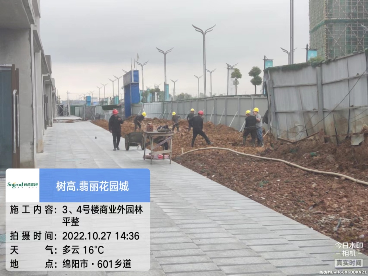 1666945154212389.jpg 1666945154212389.jpg