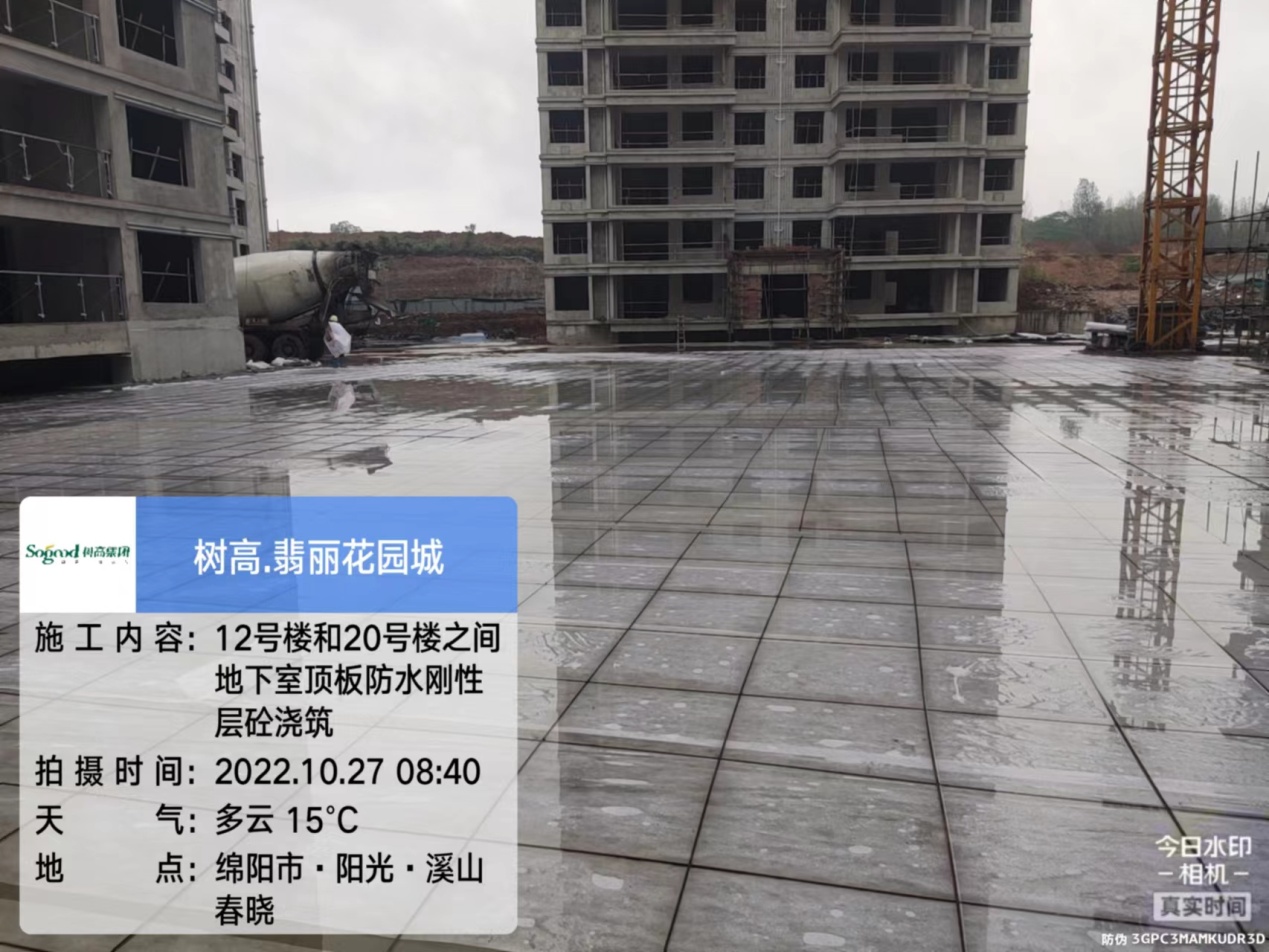 1666945154389864.jpg 1666945154389864.jpg